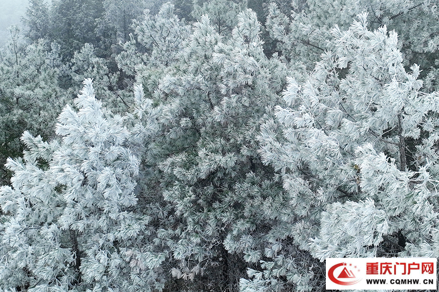 重庆酉阳：雪落天山堡 美景入画来(图6)