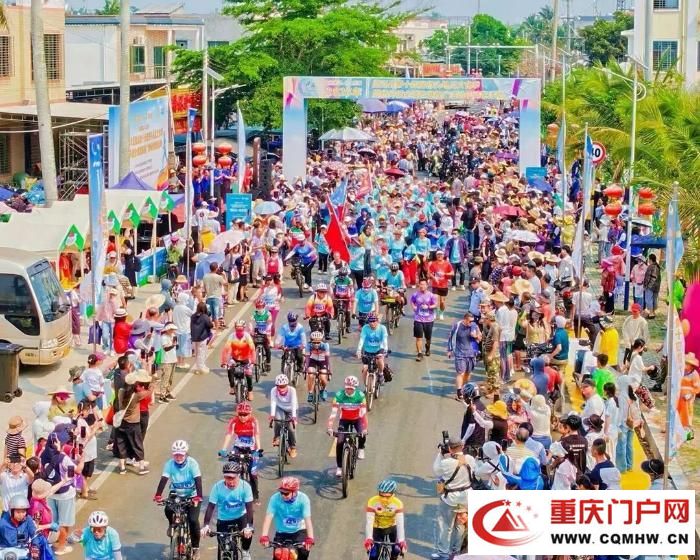 桥头地瓜，竟是“地瓜界的爱马仕”(15)
