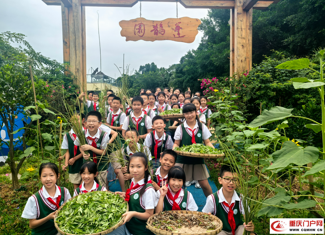 重庆南岸:这所小学将中医药文化浸润课堂内外(2) 重庆南岸:这所小学将中医药文化浸润课堂内外(2)