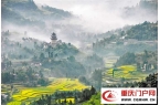 云阳三峡遗存串珠成链 千年文脉可感可及