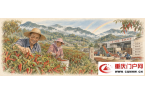 周文冲：“辣农”期盼辣又红｜丰收节走笔
