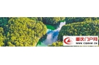 从“一山一色”到“一林多景” 重庆450